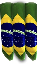 [2991] BANDEIRA DO BRASIL